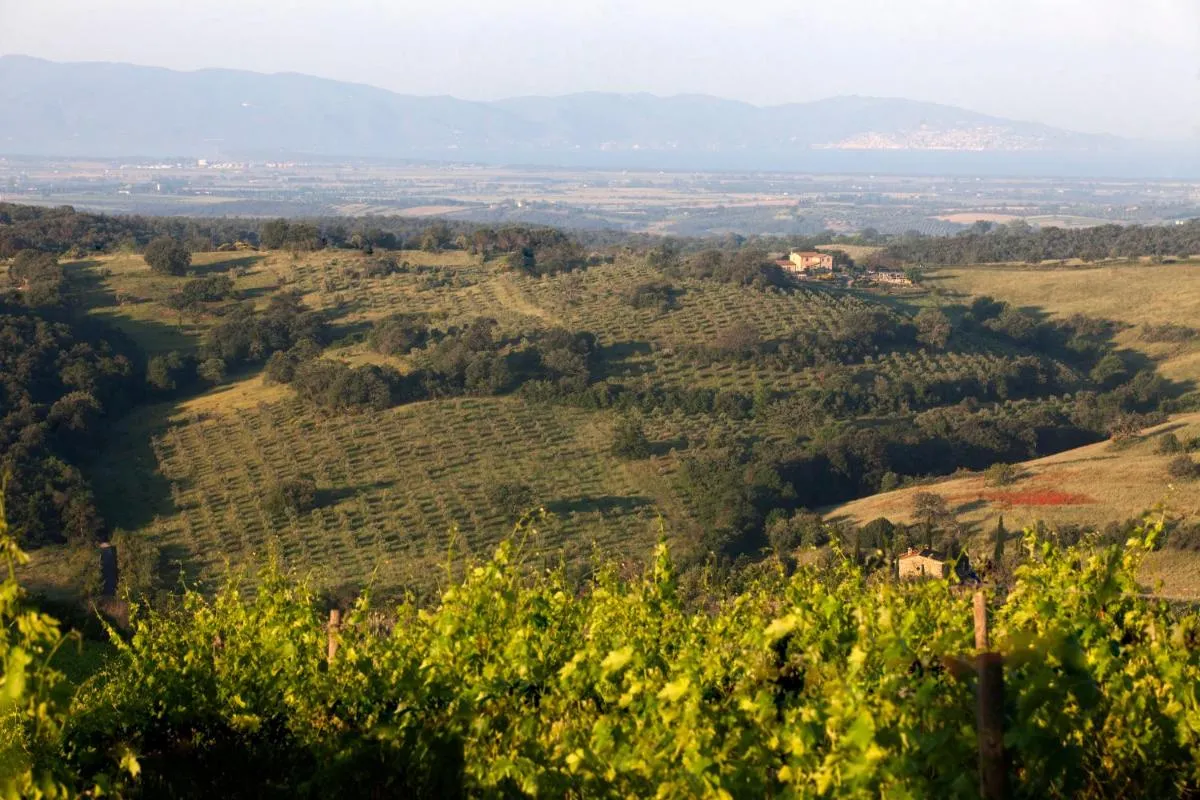 Image 2 of Casale Sterpeti
