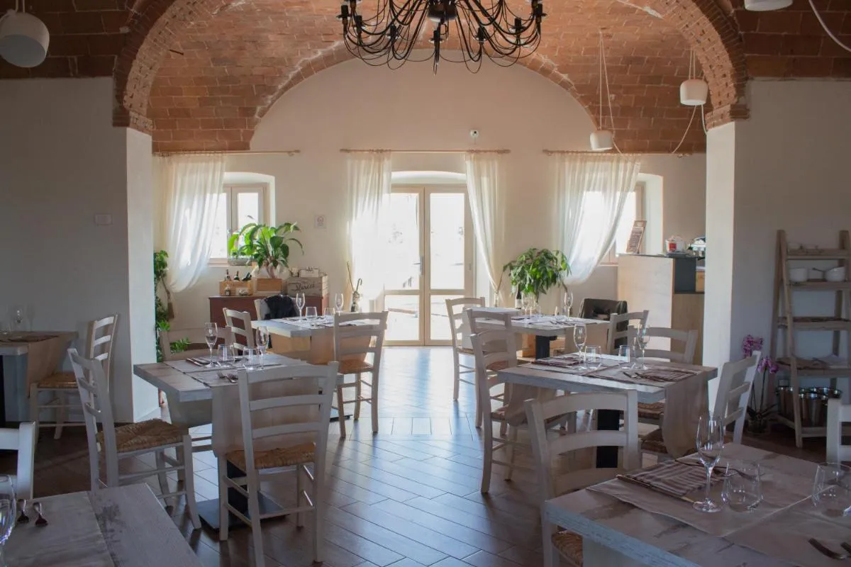 Image 3 of Fattoria L’Olmetto