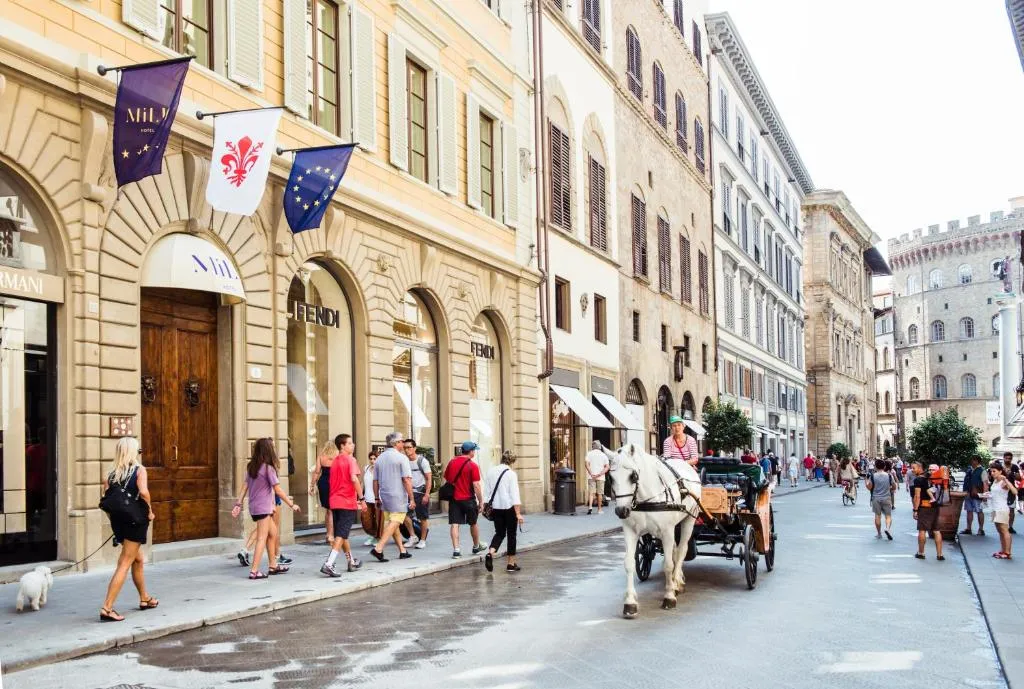 Image of Hotel Milu Florence