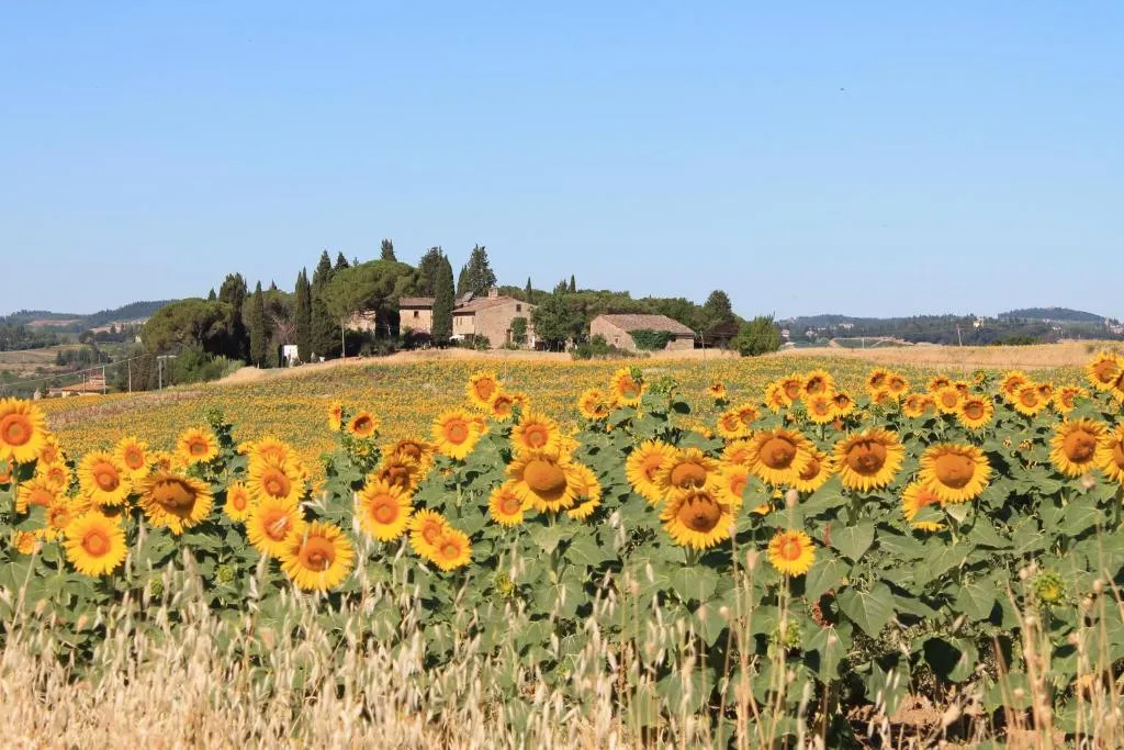 Image of Il Poggio B&B
