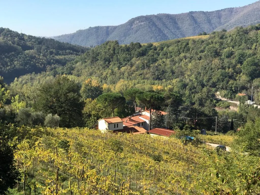 Image of Il Poggiolo ai Casini