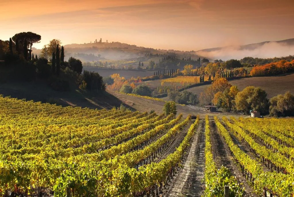 Image of Mormoraia