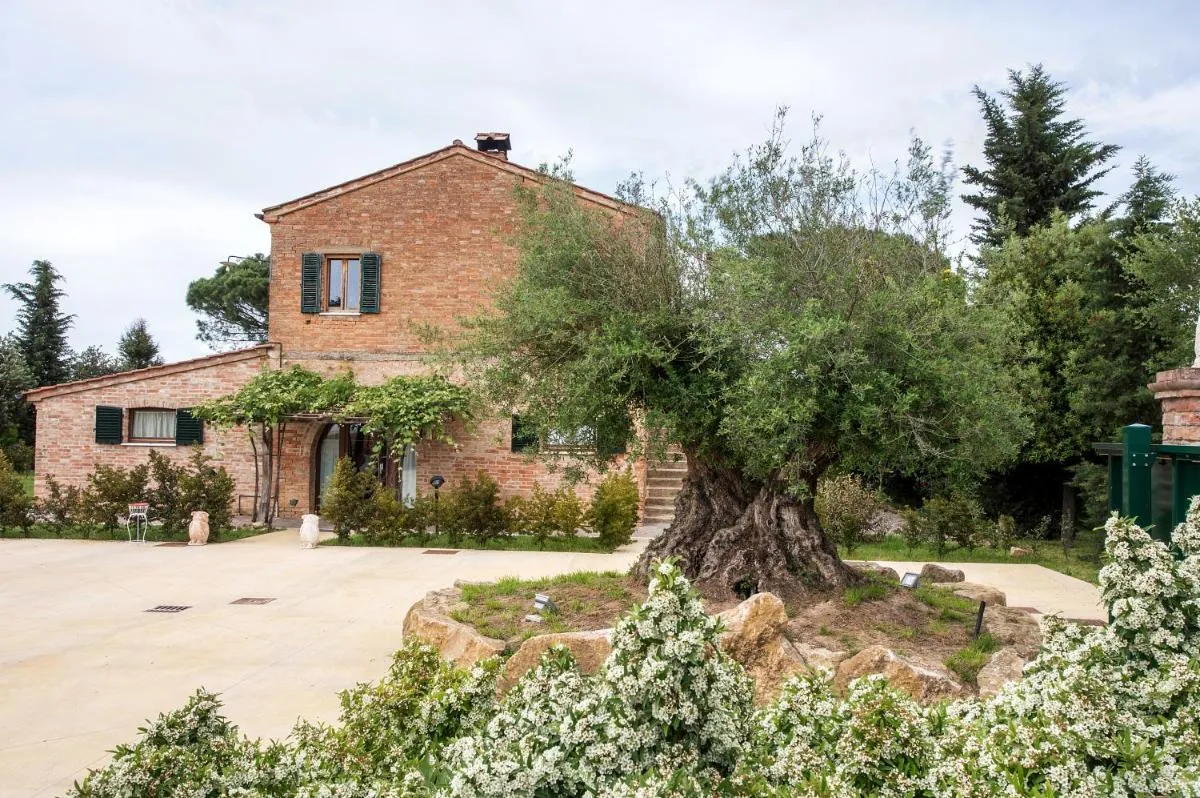 Image 6 of Podere Casanova & Wine Experience – Montepulciano