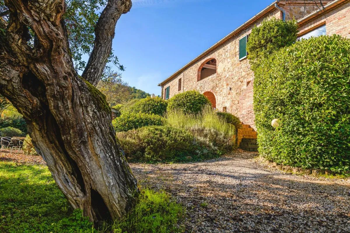 Image 2 of Podere Mencoini, stylish villa with private pool and olive garden