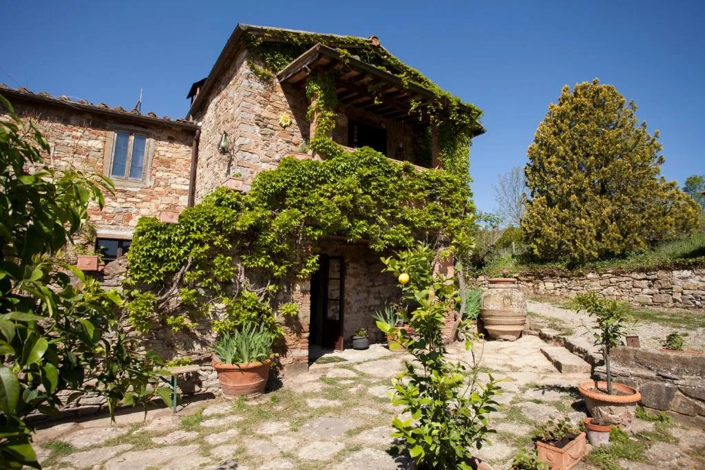 Image of Podere Terreno alla via della volpaia