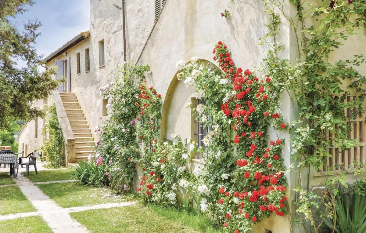 Image 1 of Sanlucchese 1