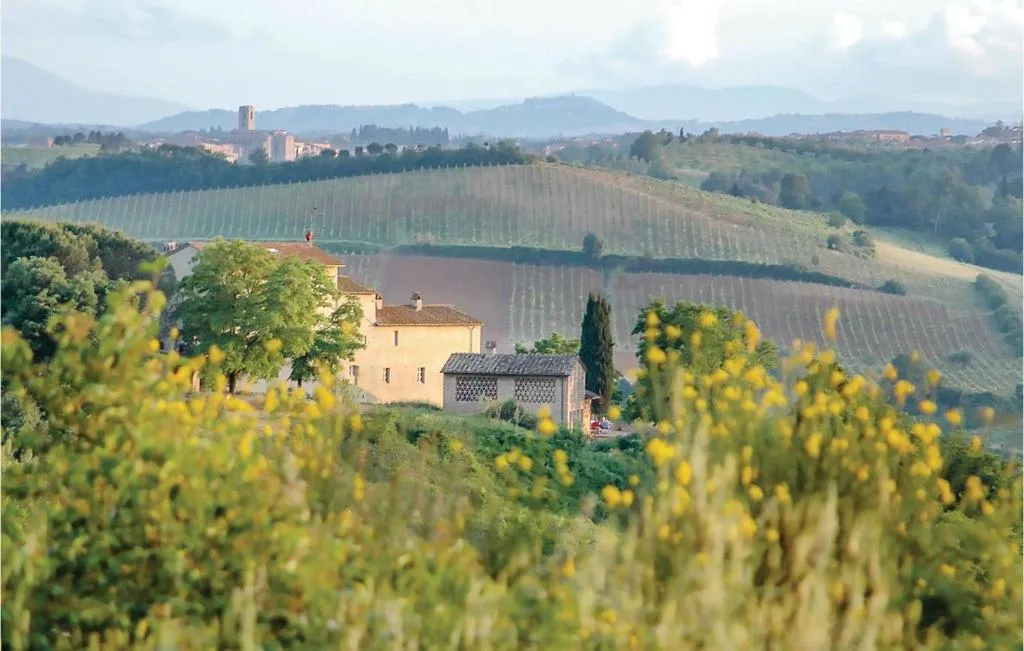 Image of Sanlucchese 1