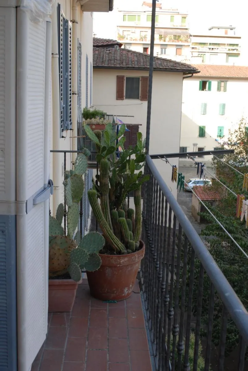 Image 5 of Soggiorno Michelangelo