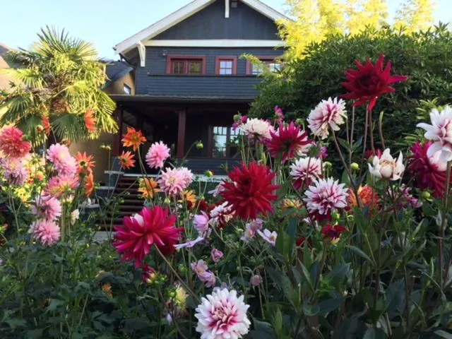 Image of Beautiful, Quiet 3BR in Posh Kitsilano