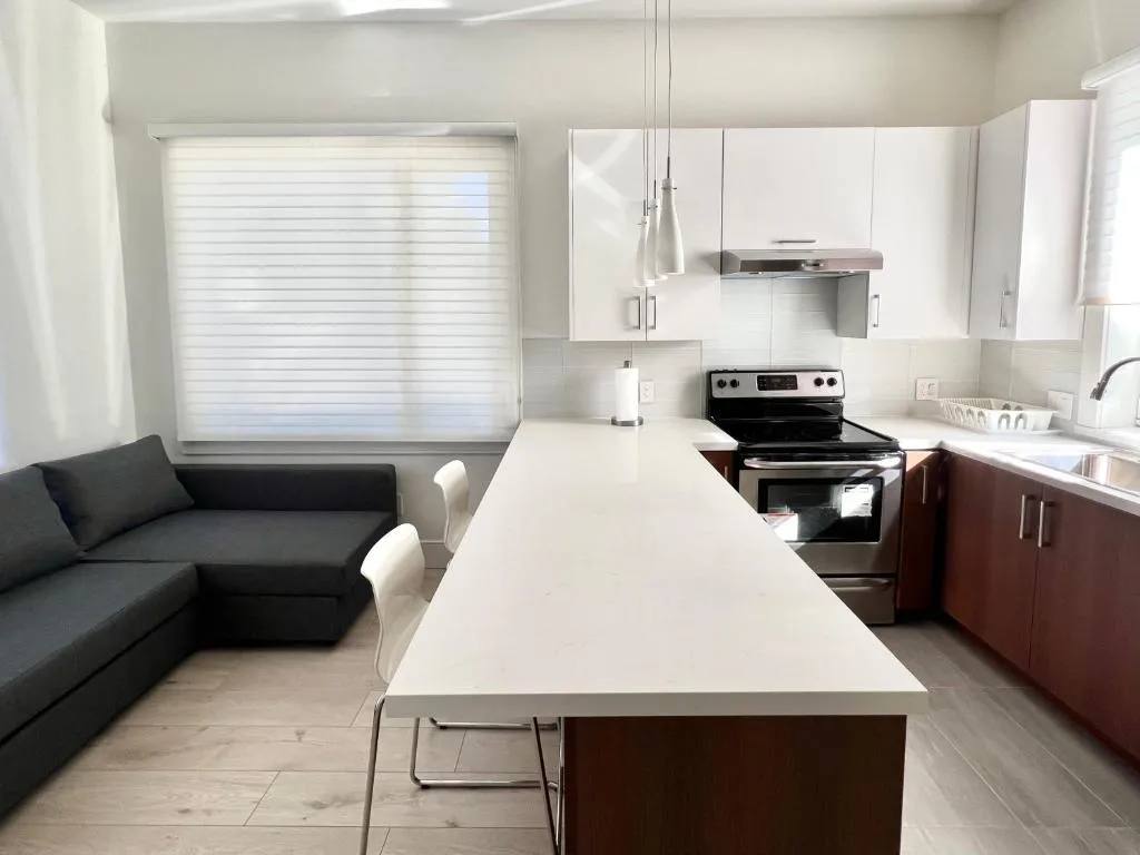 Image of Brand New Modern Laneway House