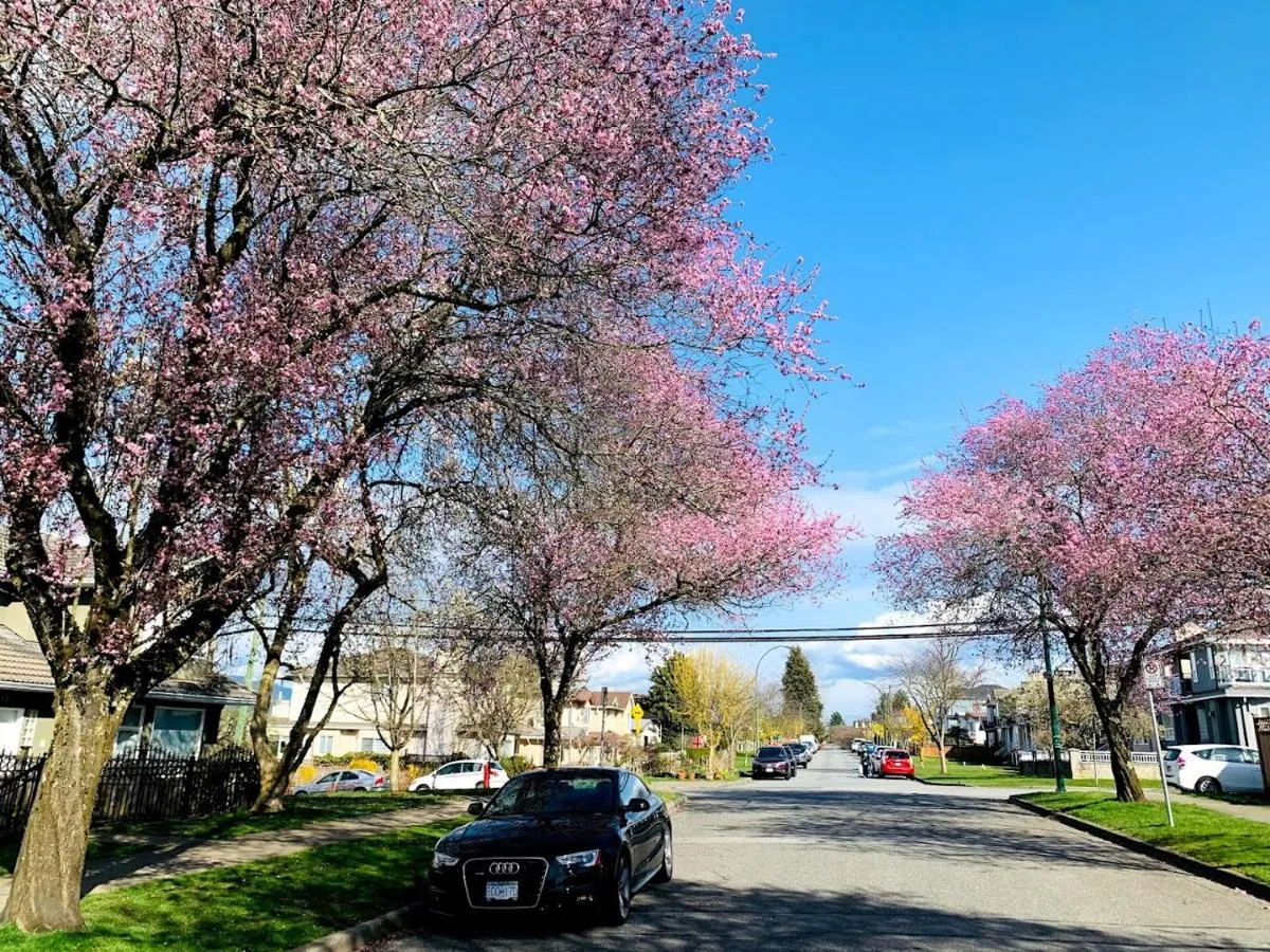 Image 6 of Charming East Van Hideaway – Near SkyTrain