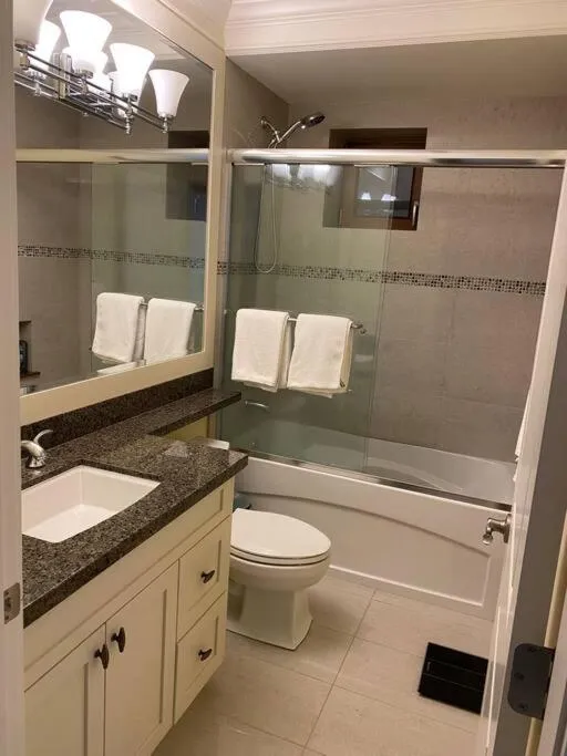 Image 3 of spacious modern new suite