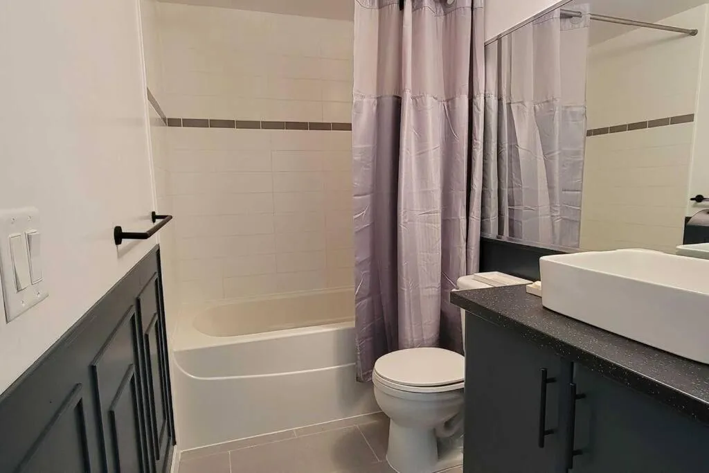 Image 2 of Beautiful 1 BR in the Heart of Downtown: Parking, Pool & Gym