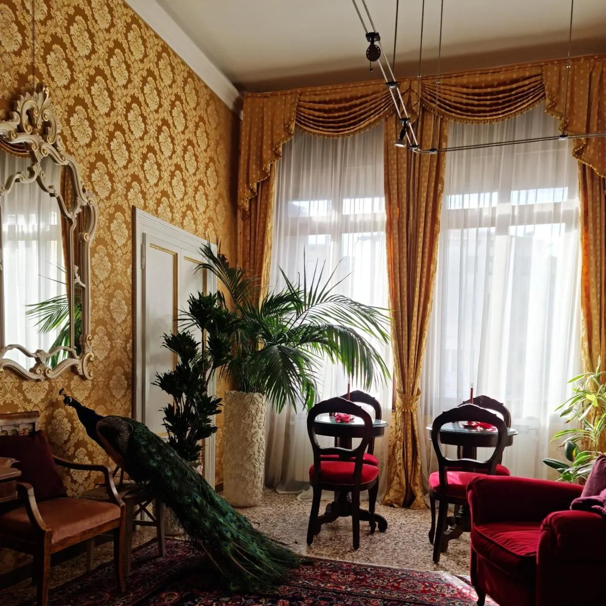 Image 6 of Luxury Suites in Venice-Friendly Venice Suites