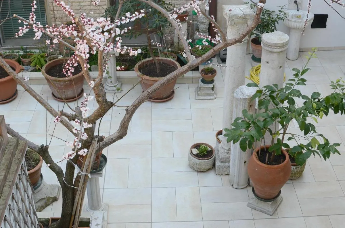 Image 2 of Alloggi Barbaria