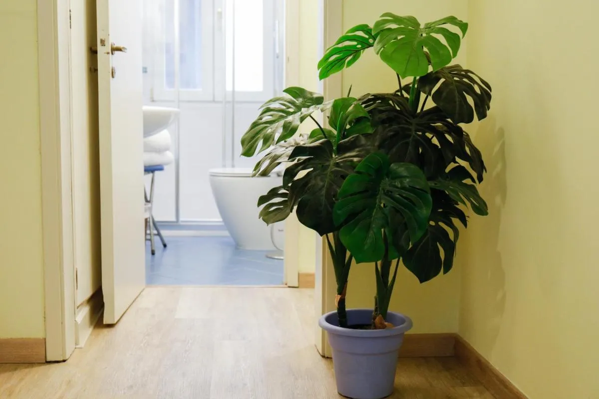 Image 2 of Appartamento San Marco Frezzaria