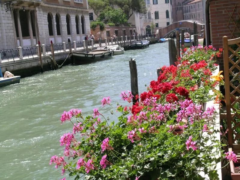 Image of B&B Casa in Laguna