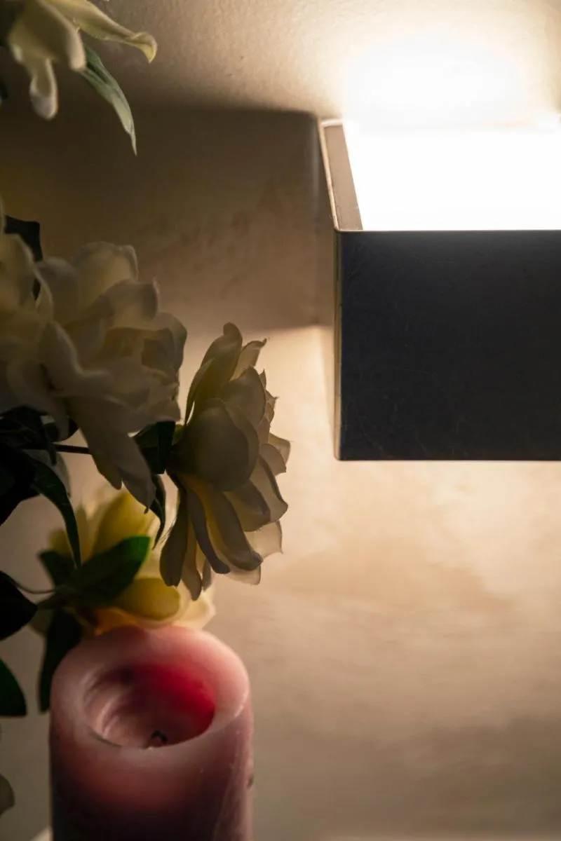 Image 4 of Ca’ Anna in Biennale