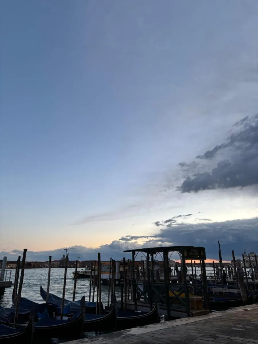 Image 2 of Ca Doge Marin