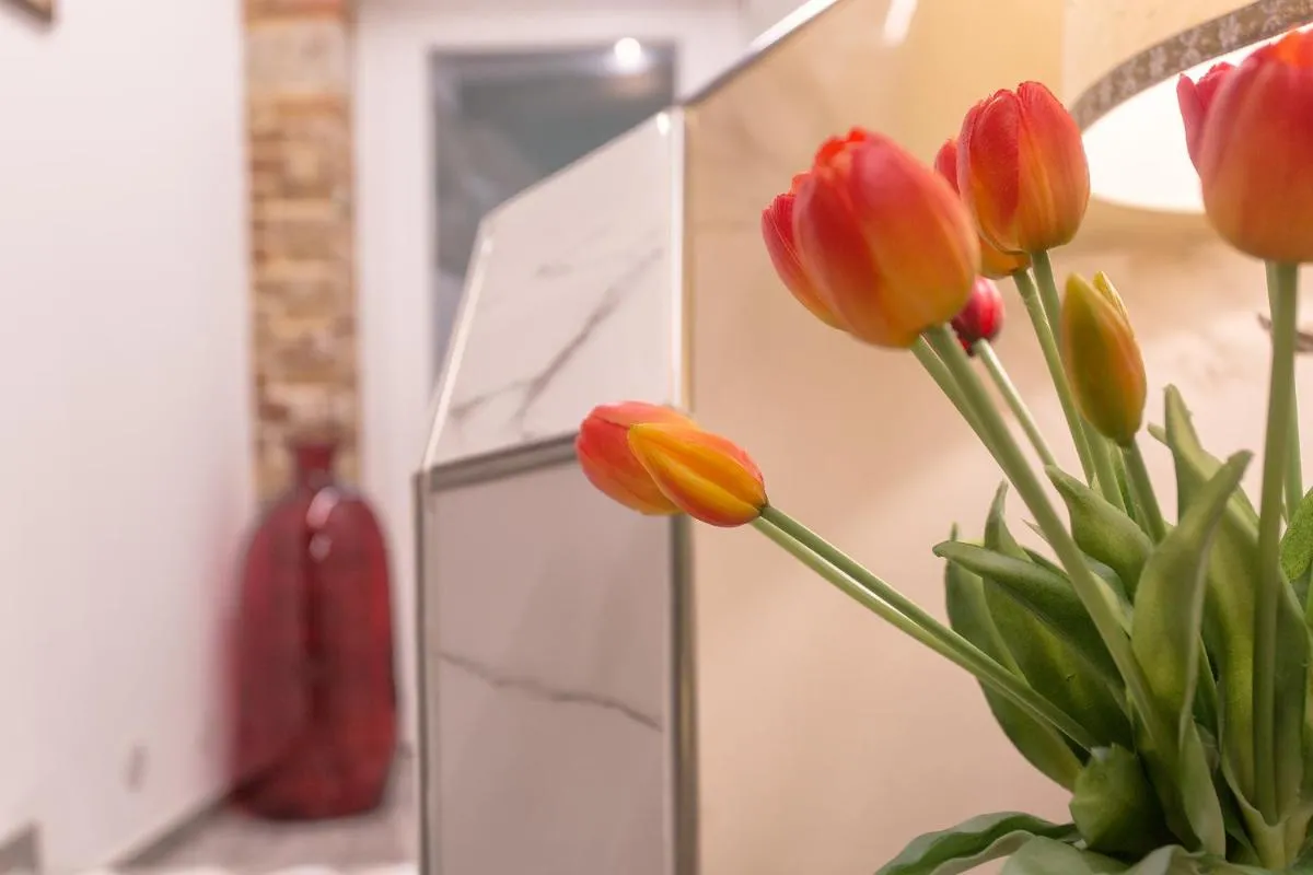 Image 5 of CàPatron