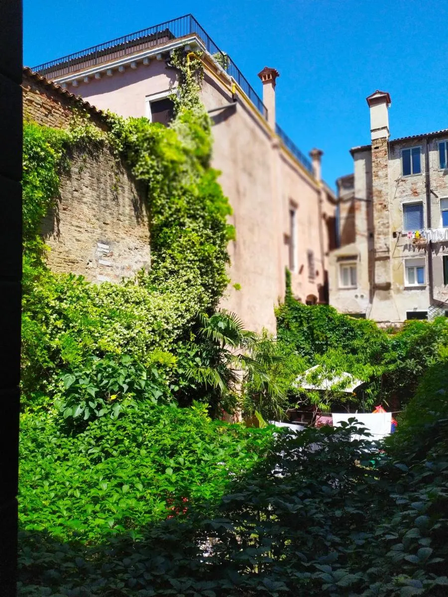 Image 5 of Cà Tron Apartment next to Rialto bridge