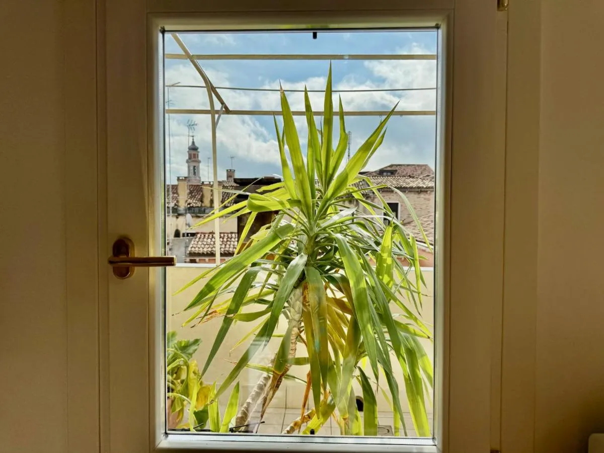 Image 4 of Cà d’Oro