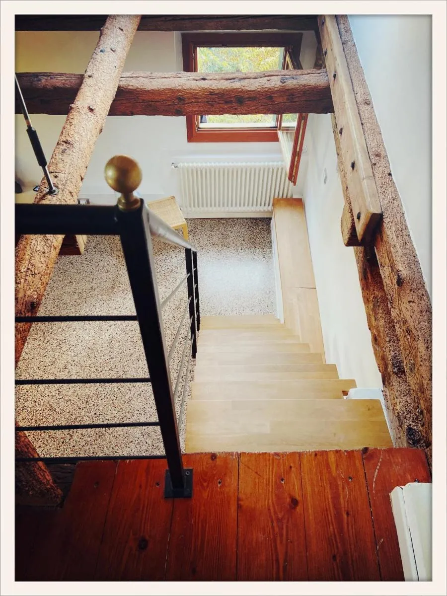 Image 6 of Hideaway Biennale