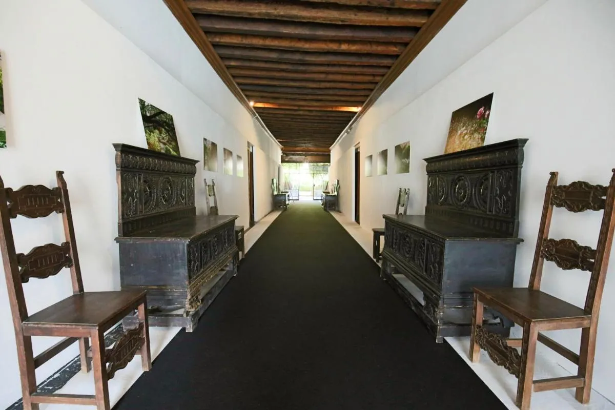 Image 4 of Il giardino segreto di Monty Don sul Canal Grande