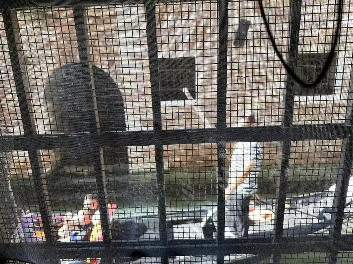 Image 2 of Mascherone Apartment