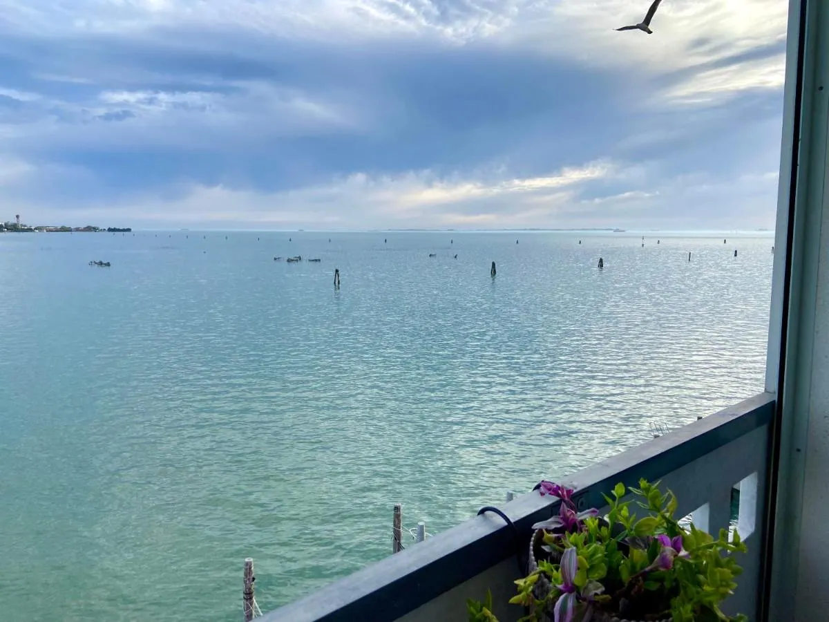 Image 1 of Miami in Venice