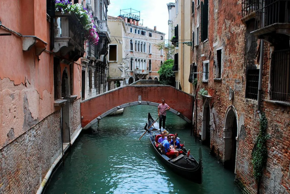 Image 5 of Oasi 5503a