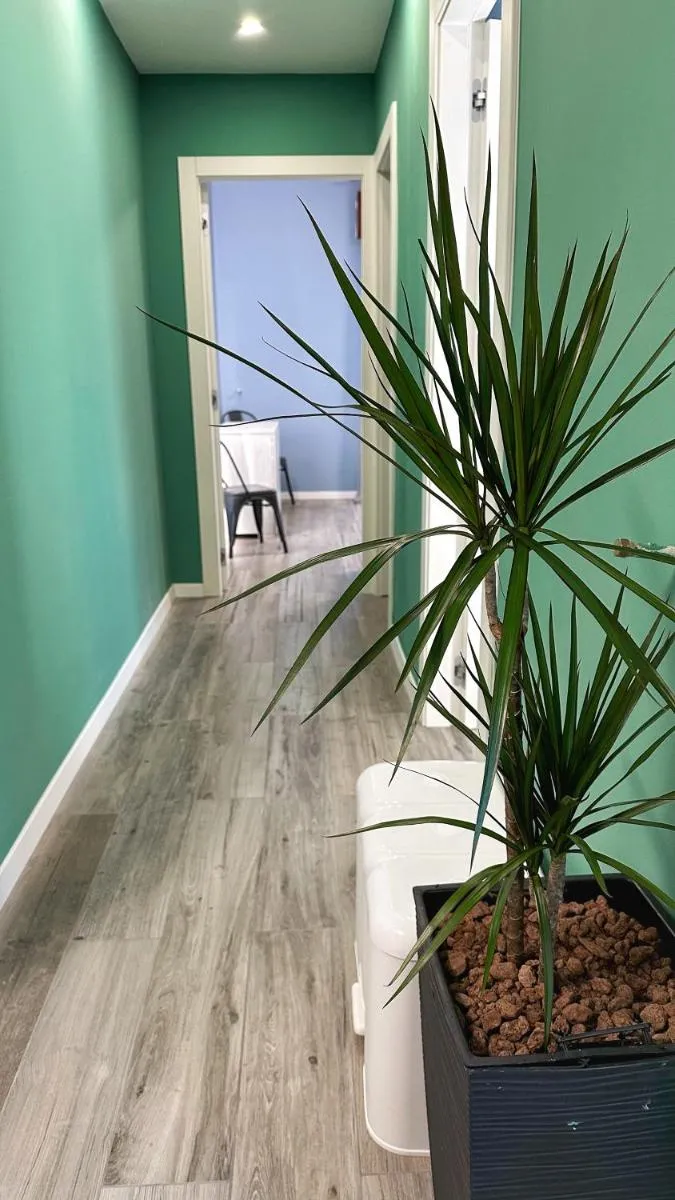 Image 5 of PARISI – VENEZIA Aleardi 2