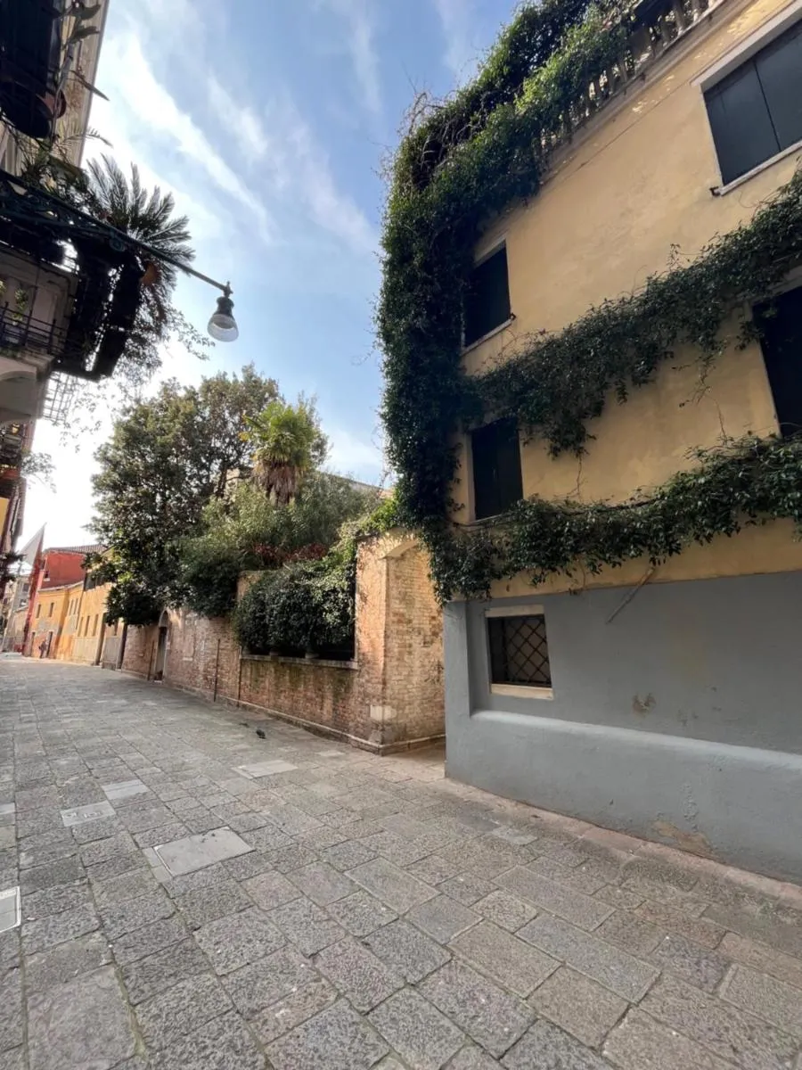 Image 5 of Peggy Suite