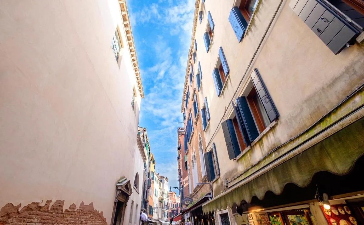 Image 4 of The Lion’s House APT1