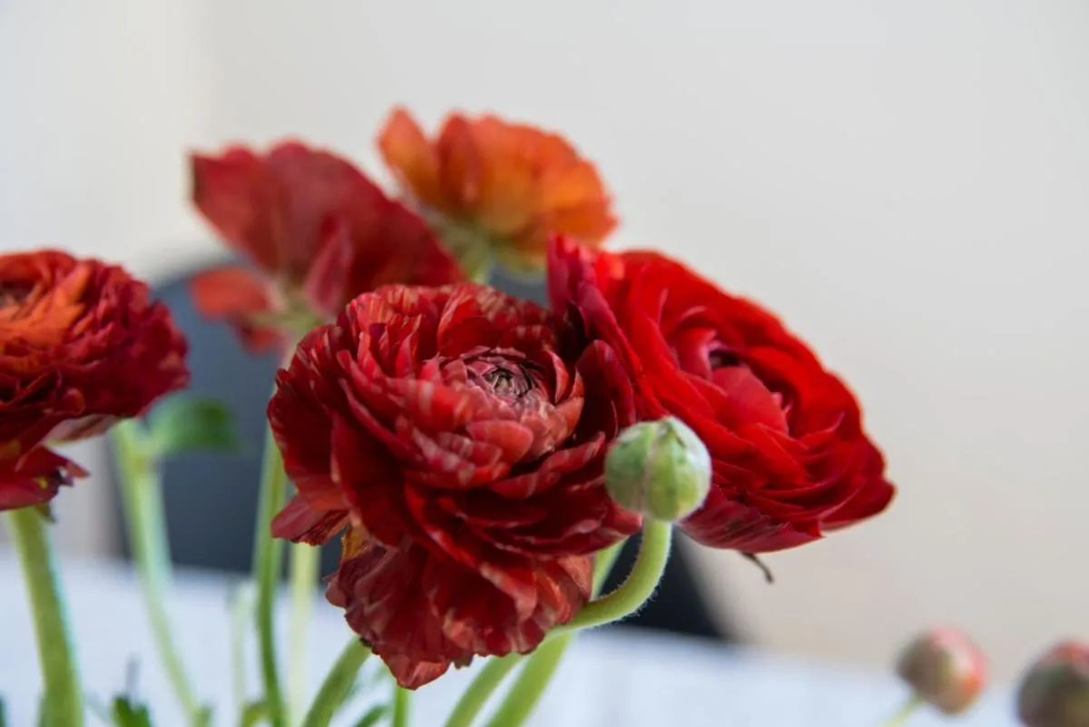 Image 3 of Tre Elementi, Guest House Close the Grand Canal