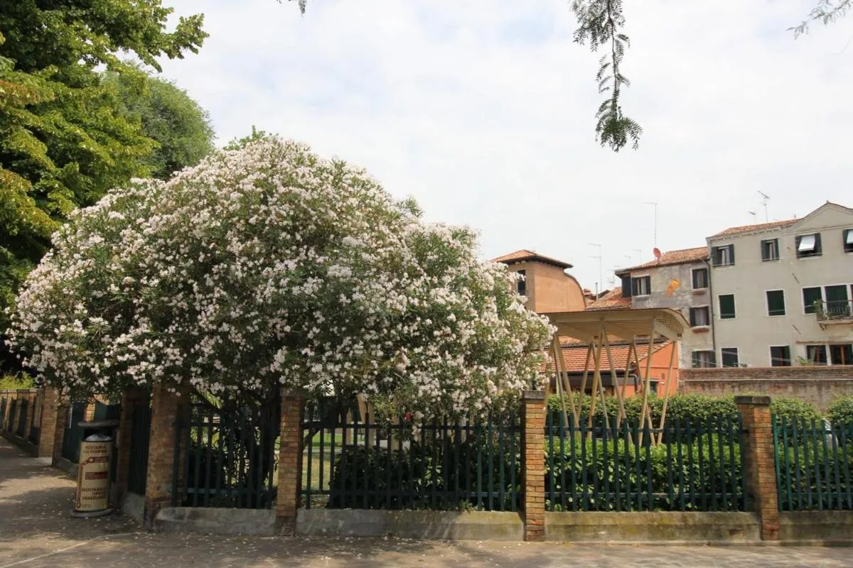 Image 4 of Veneziacentopercento Nicoli Apartment