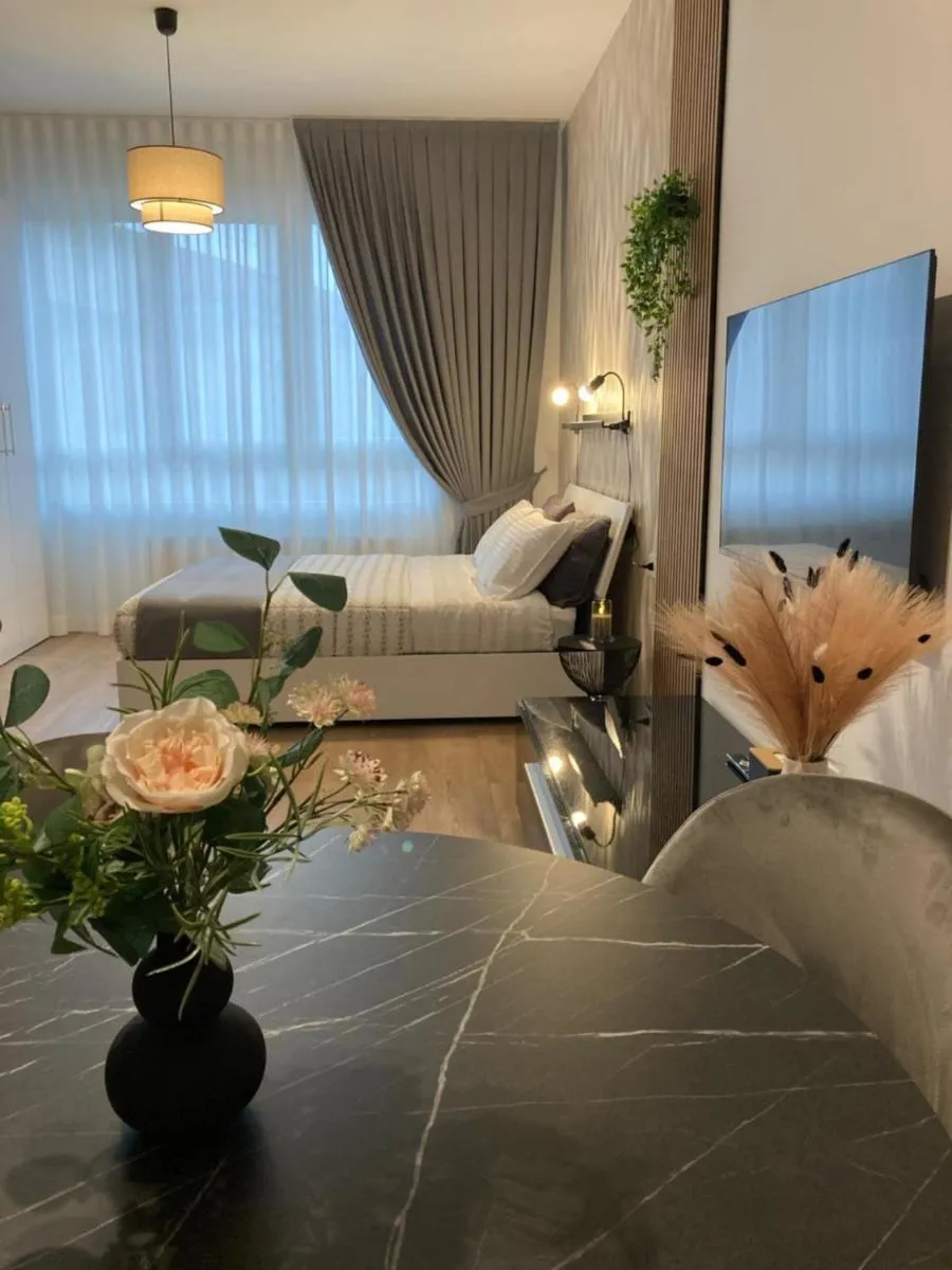 Image 3 of Venice Dream