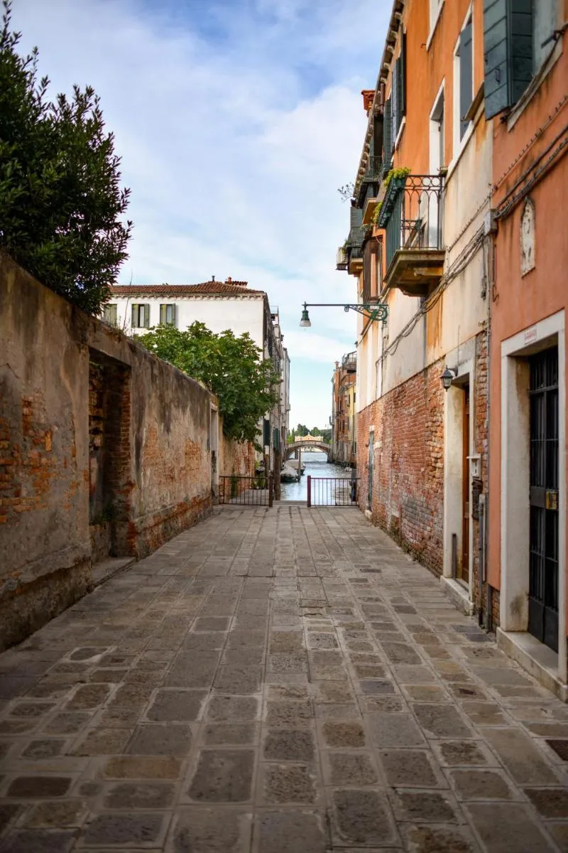 Image 5 of Venice Parsley