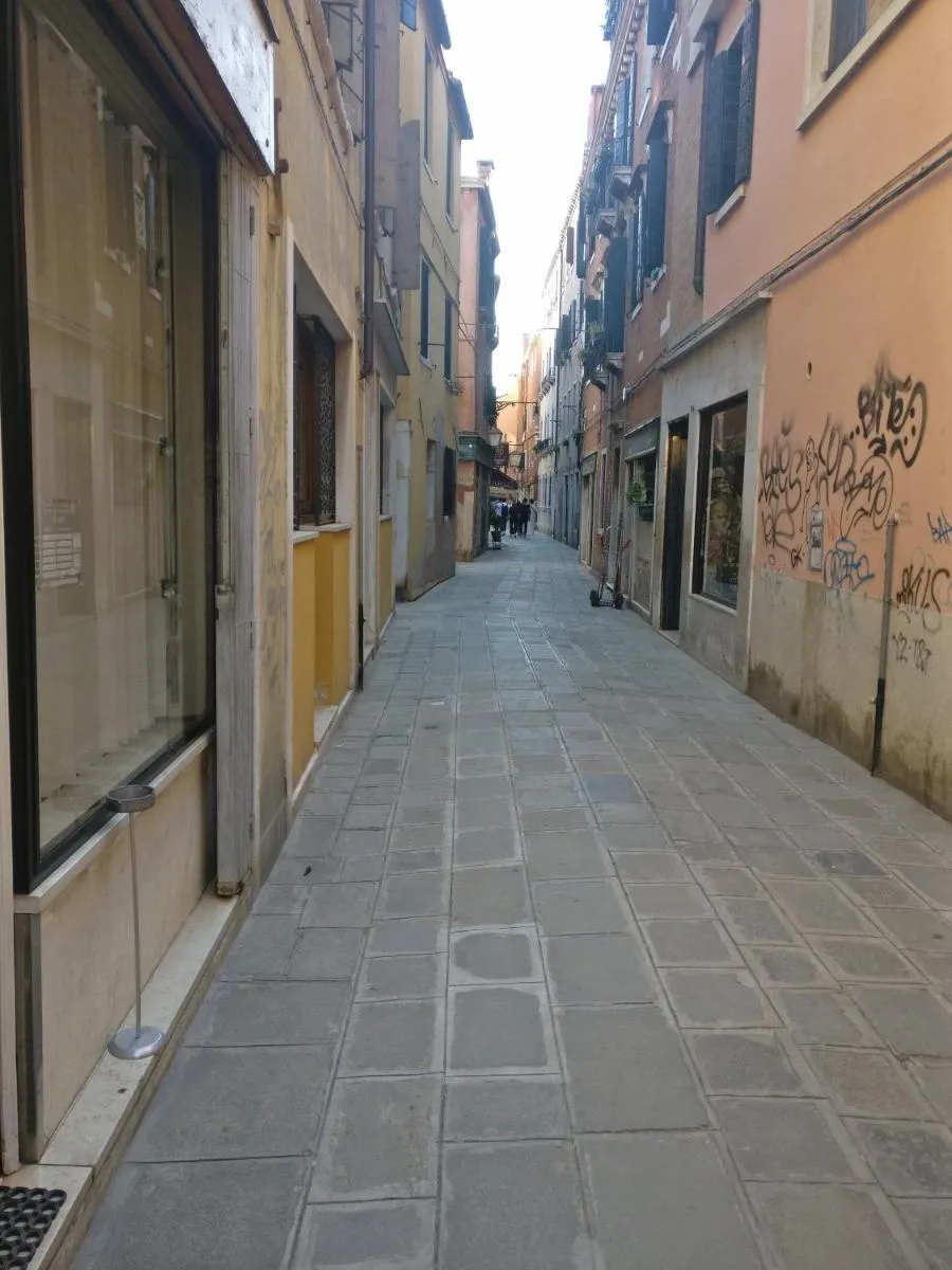 Image 5 of alla lista