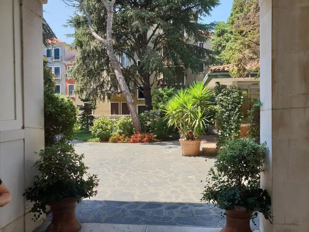 Image of Patch of Eden