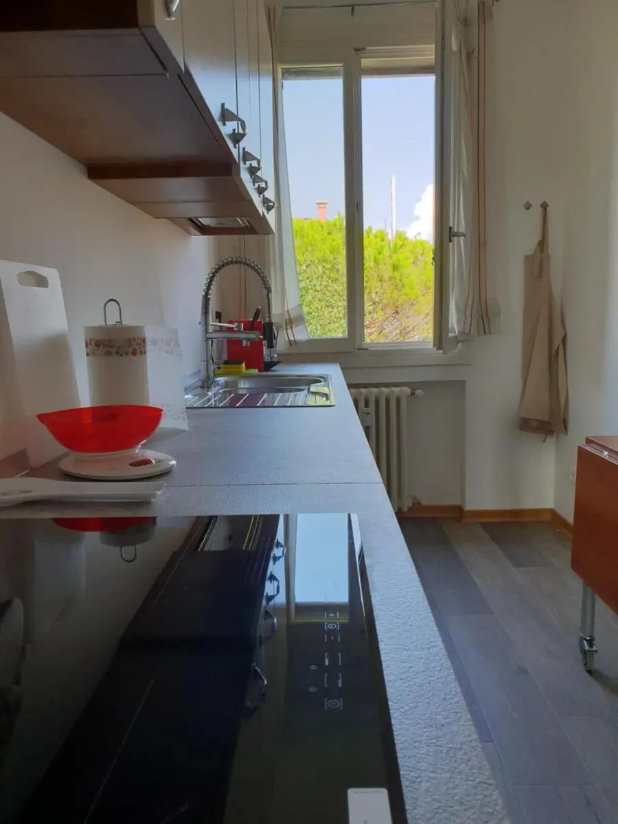 Image 3 of Patch of Eden