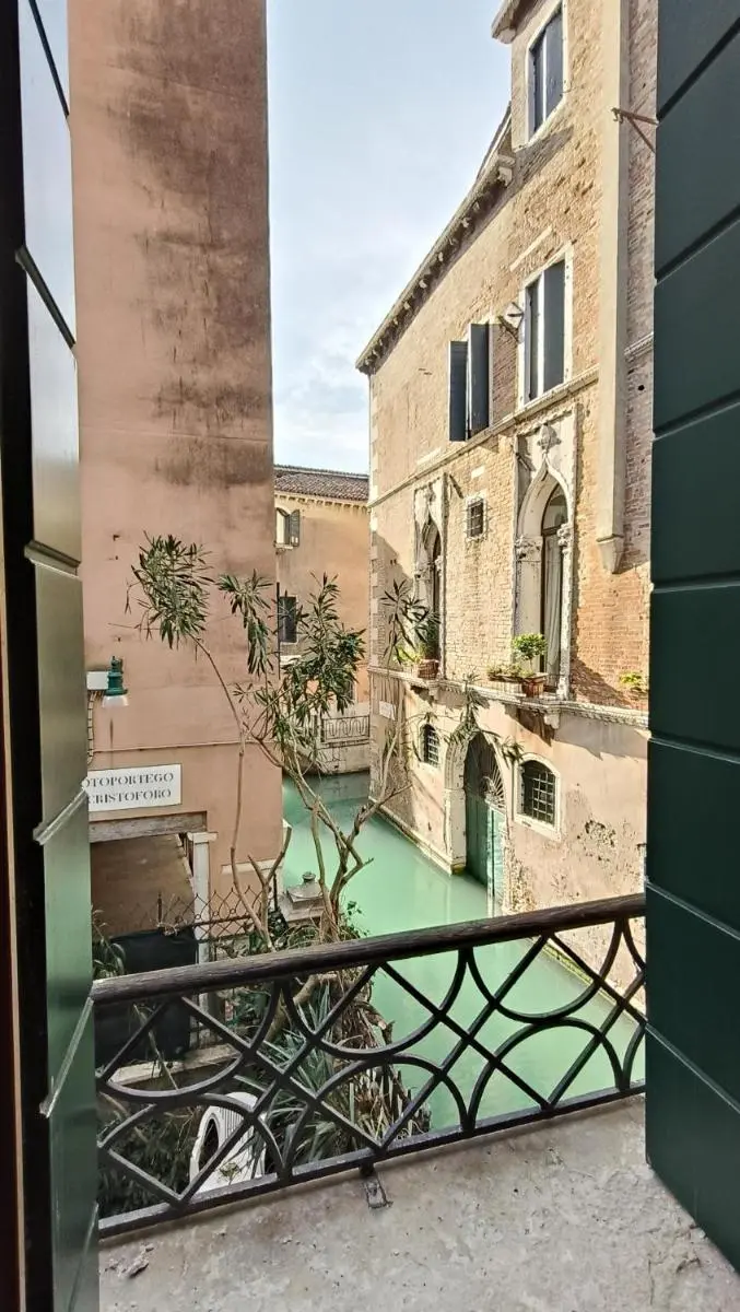 Image 6 of The Phantom of the Opera