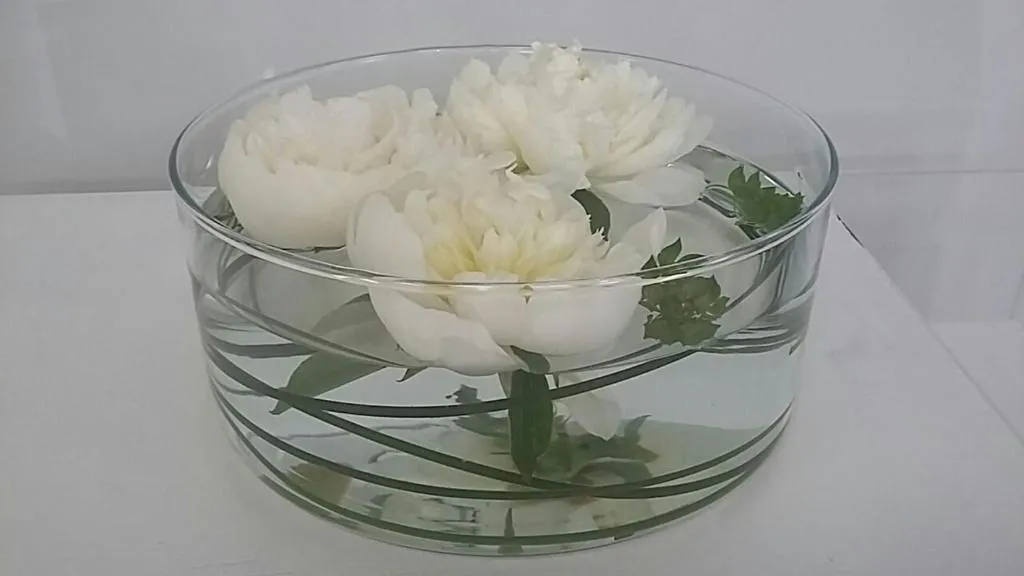 Image of Amami Alfredo