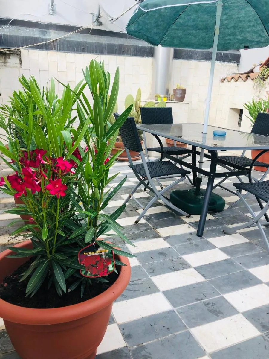 Image 3 of La Terrazza di Aida