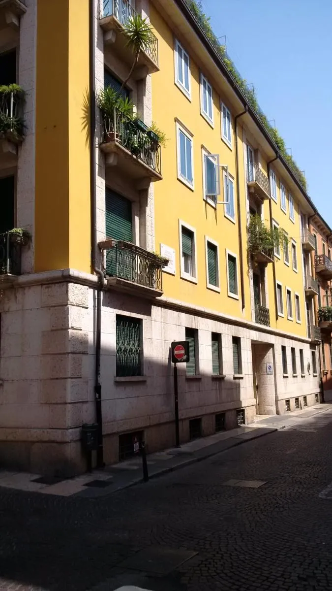 Image 4 of Leoncino 14