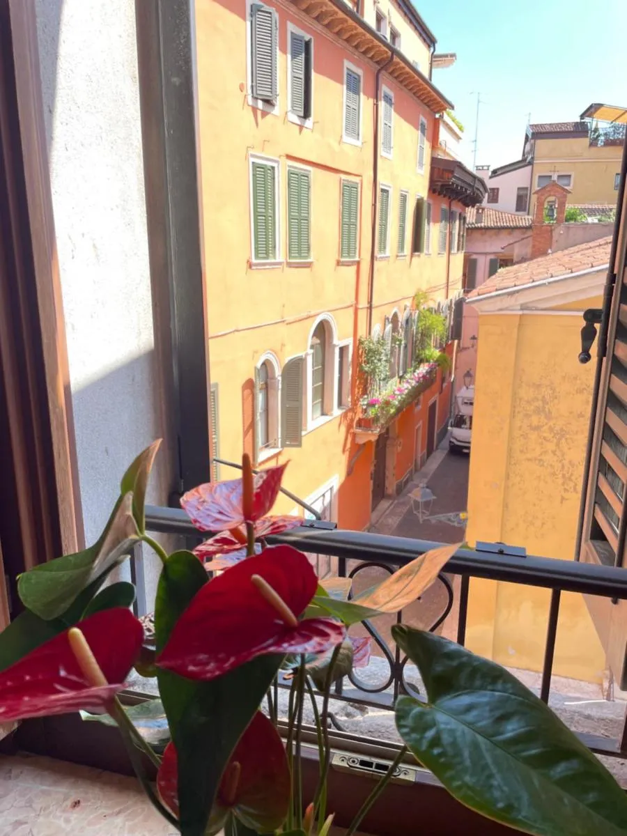 Image 5 of Montecchi House