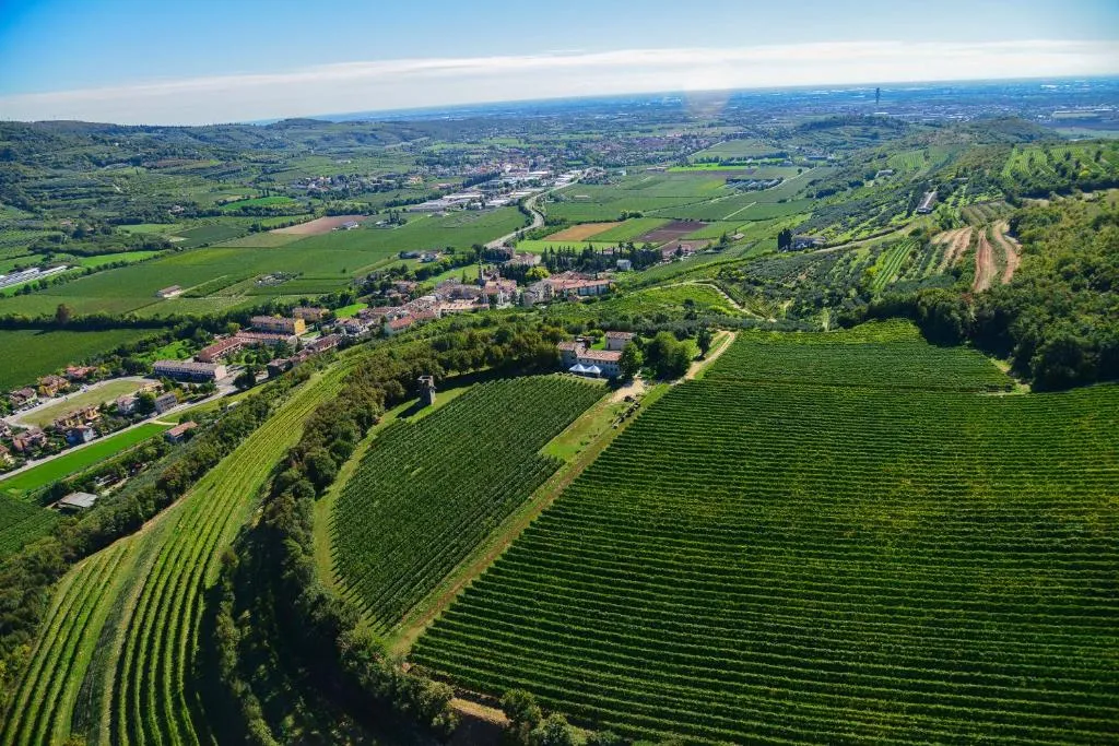 Image of Tenuta Delo Relais