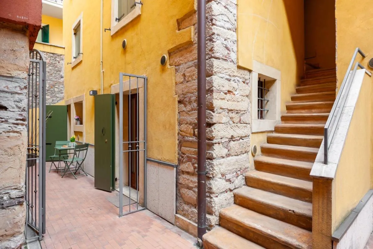 Image 5 of Anniusca Nest