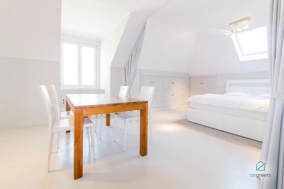MODERN, MINIMALIST FLAT IN VIENNA - 2