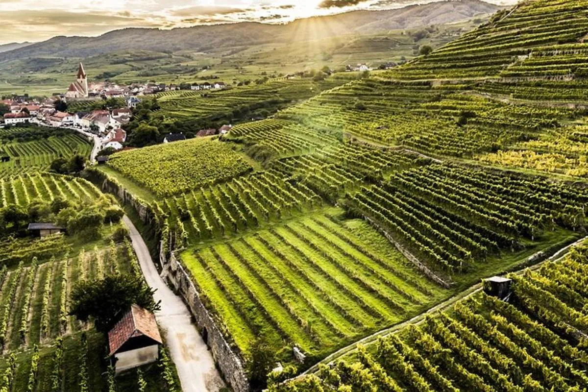 Image 4 of 3 Castles and Wine Tasting Day Tour in Danube Valley from Vienna